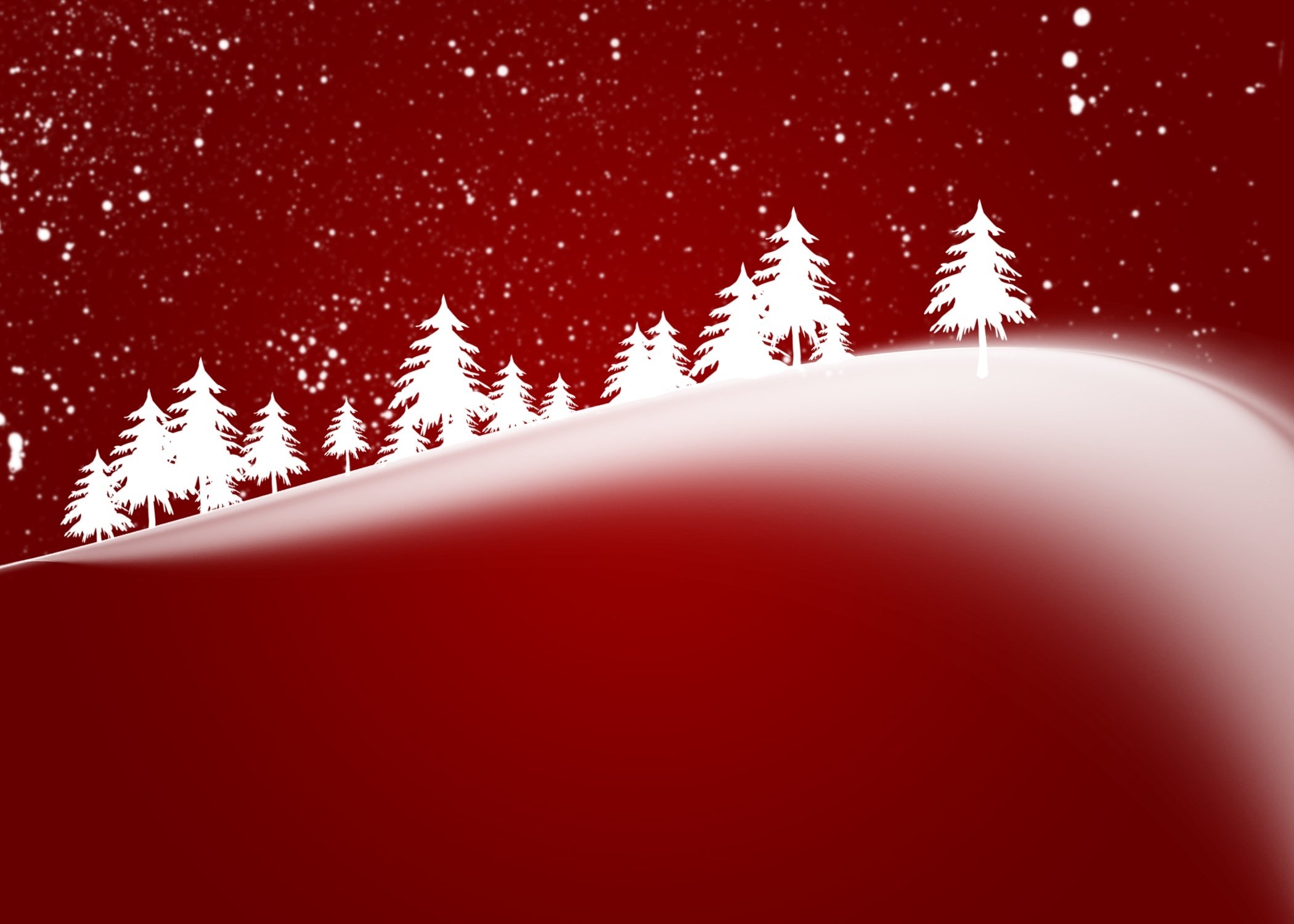 Foie gras Noël